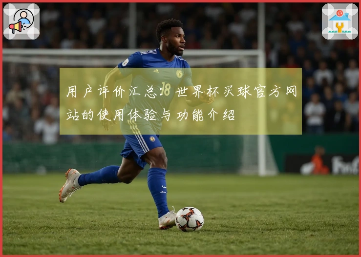 用户评价汇总：世界杯买球官方网站的使用体验与功能介绍