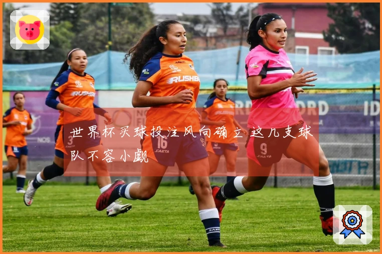 世界杯买球投注风向确立 这几支球队不容小觑