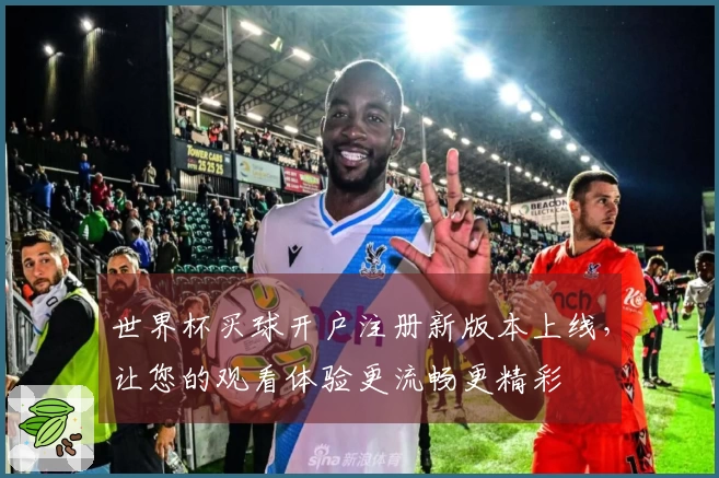 世界杯买球开户注册新版本上线,让您的观看体验更流畅更精彩