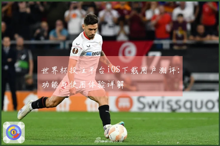 世界杯投注平台iOS下载用户测评：功能与使用体验详解
