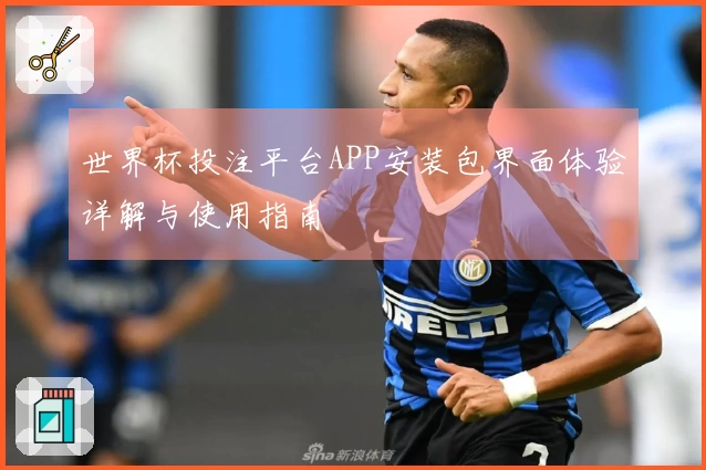 世界杯投注平台APP安装包界面体验详解与使用指南