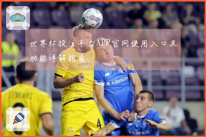 世界杯投注平台APP官网使用入口及功能详解指南