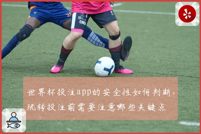 世界杯投注app的安全性如何判断，玩转投注前需要注意哪些关键点