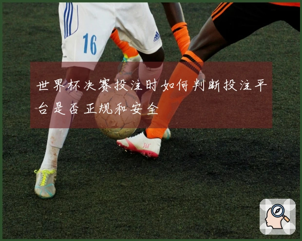 世界杯决赛投注时如何判断投注平台是否正规和安全