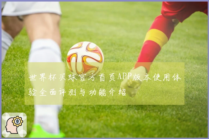 世界杯买球官方首页APP版本使用体验全面评测与功能介绍