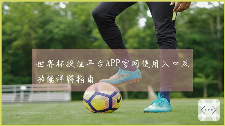 世界杯投注平台APP官网使用入口及功能详解指南