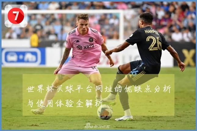 世界杯买球平台网址的优缺点分析与使用体验全解析