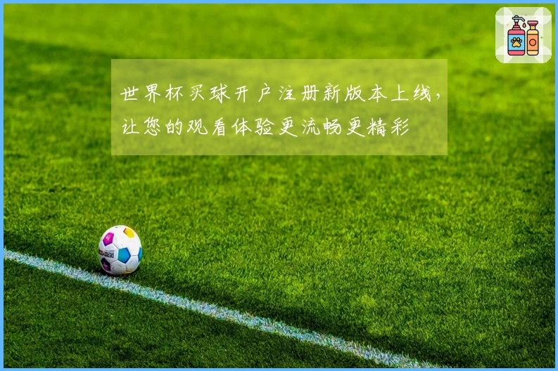 世界杯买球开户注册新版本上线，让您的观看体验更流畅更精彩
