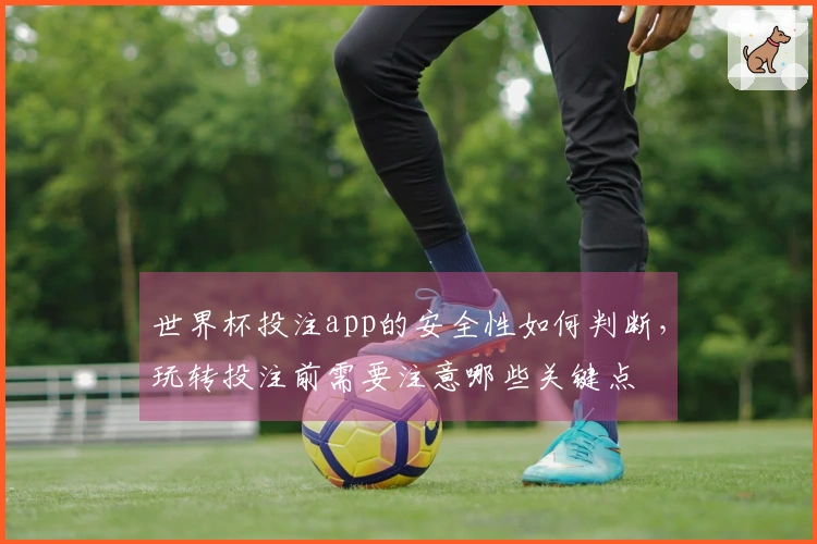 世界杯投注app的安全性如何判断，玩转投注前需要注意哪些关键点