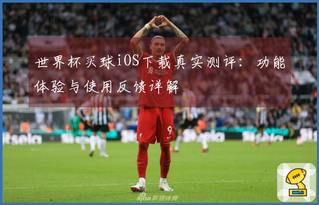 世界杯买球iOS下载真实测评：功能体验与使用反馈详解